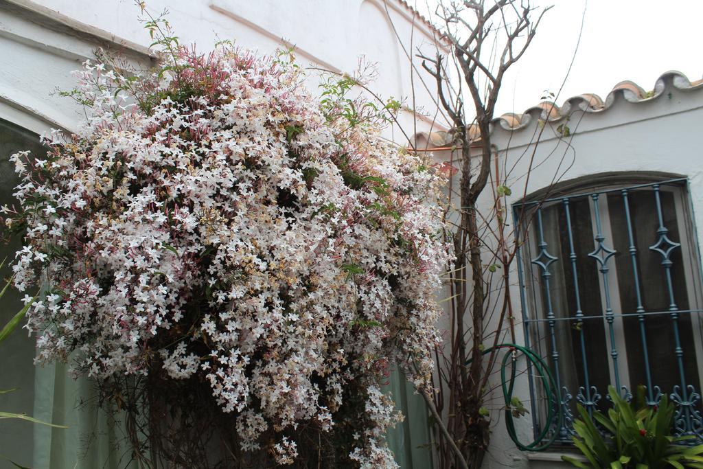 Villa Casa Colonia La Línea de la Concepción Exterior foto